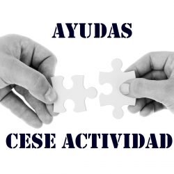 Ayudas cese actividad
