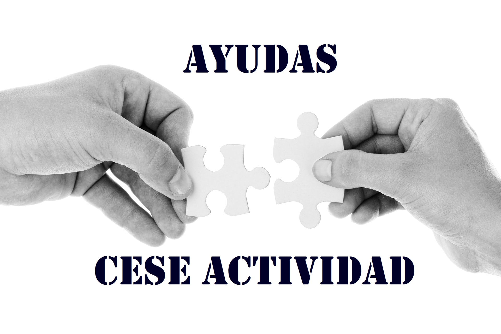 Ayudas cese actividad
